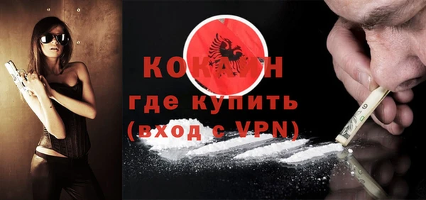 индика Корсаков