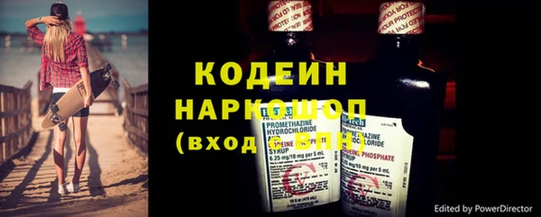 индика Корсаков