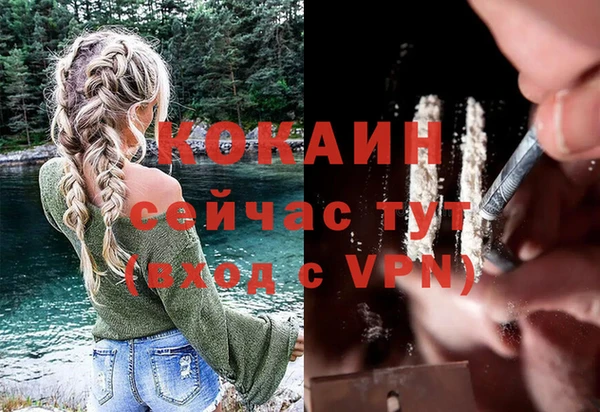 индика Корсаков