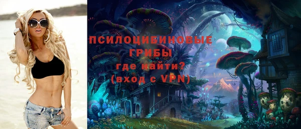 первитин Коряжма