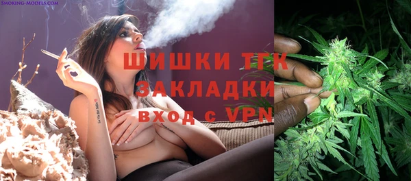 индика Корсаков