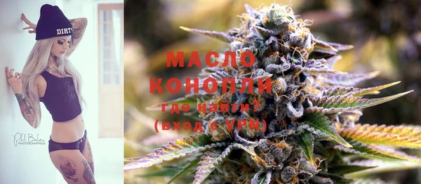 индика Корсаков