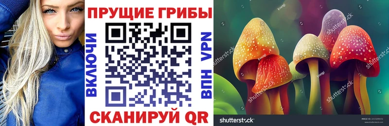 Галлюциногенные грибы мицелий  Первоуральск 